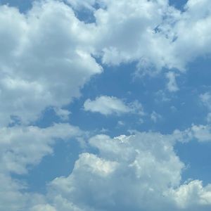 Meet your Posher, Mackenzie